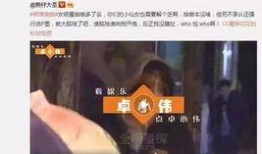 啪啪的视频在线观看,揭秘啪啪视频的在线观看魅力